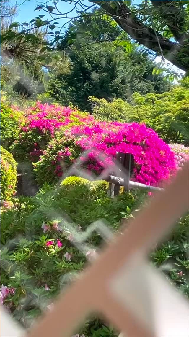 「夫婦のしあわせ」その②