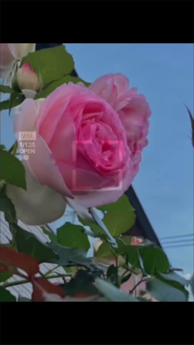 【結婚の決断して大丈夫？？】