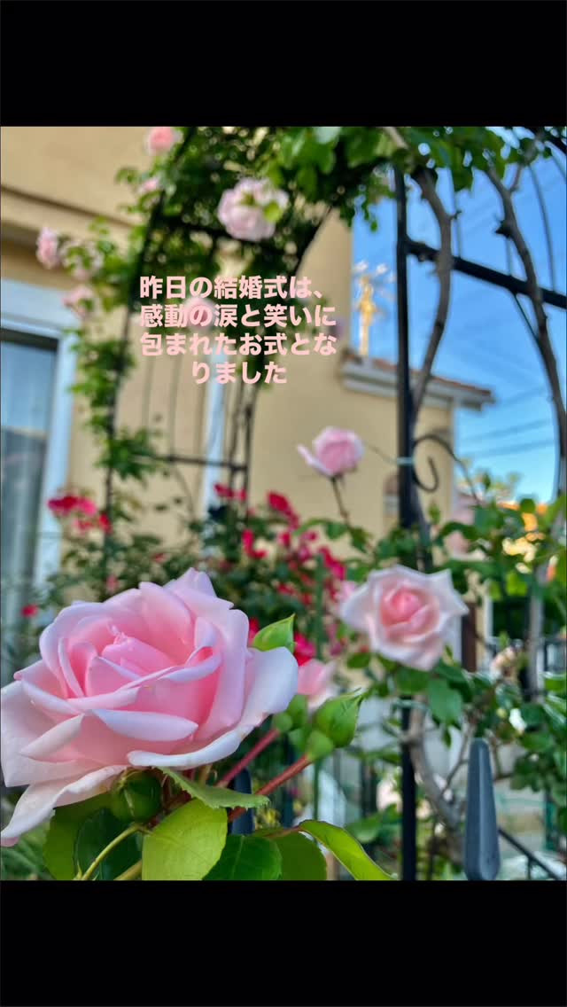 「あなたは生きている?